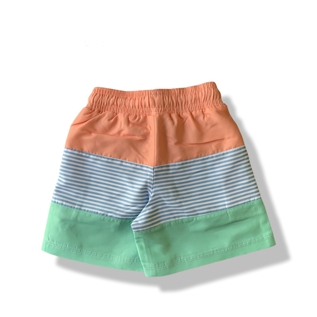 Colorblock Swim Trunk