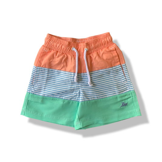 Colorblock Swim Trunk