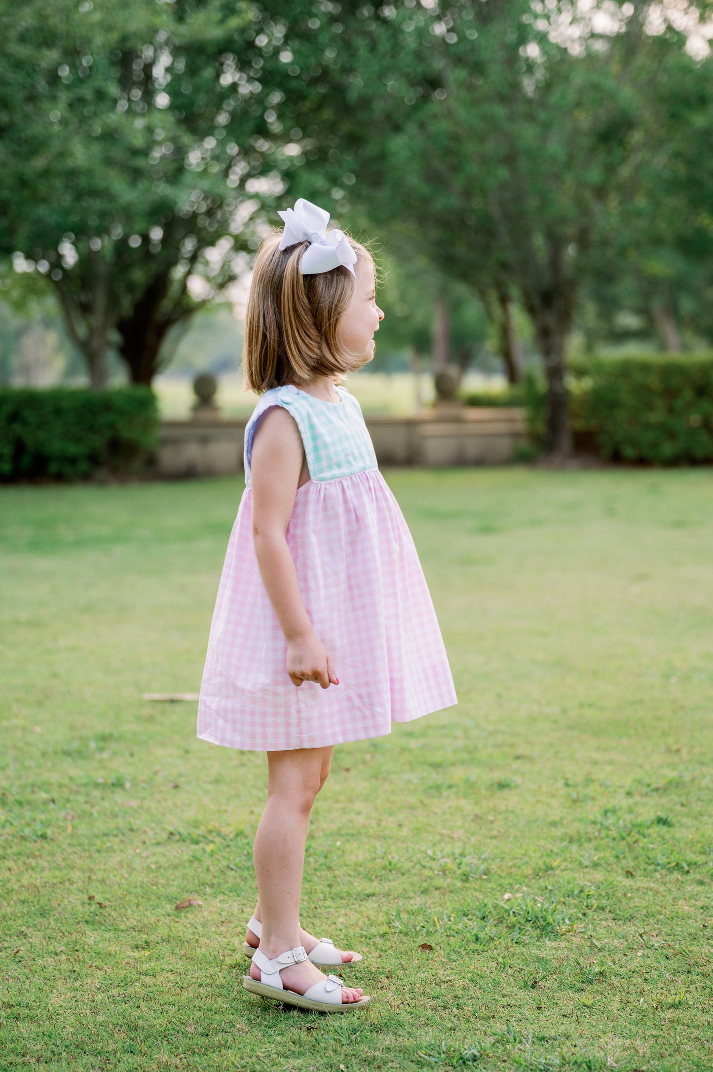 Charming Check Dress